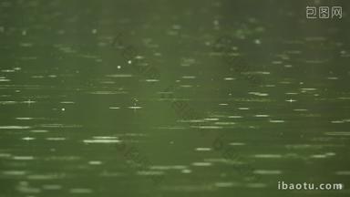 碧绿的水塘下雨水滴水花涟漪